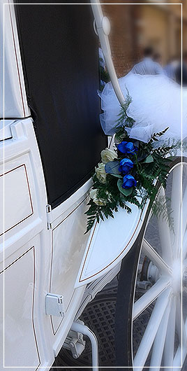 Horses Carriage coachman for weddings in Tuscany